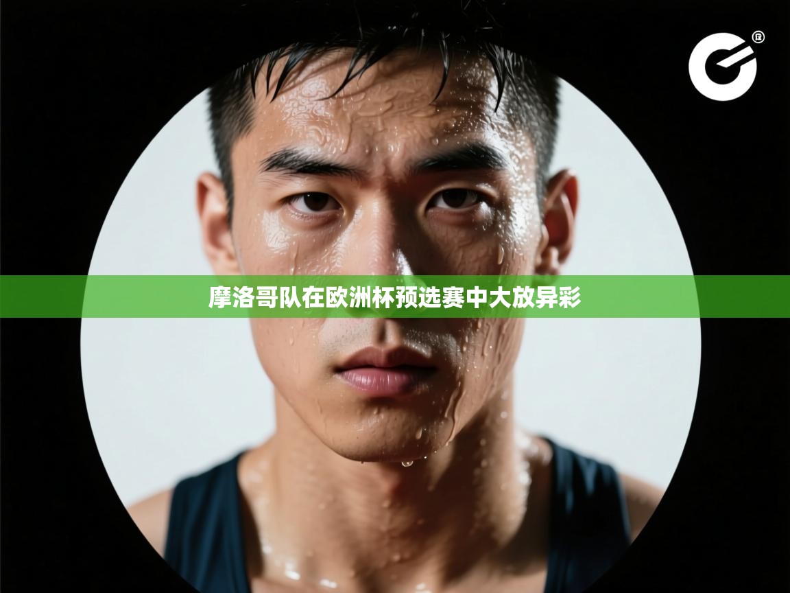 摩洛哥队在欧洲杯预选赛中大放异彩  第2张