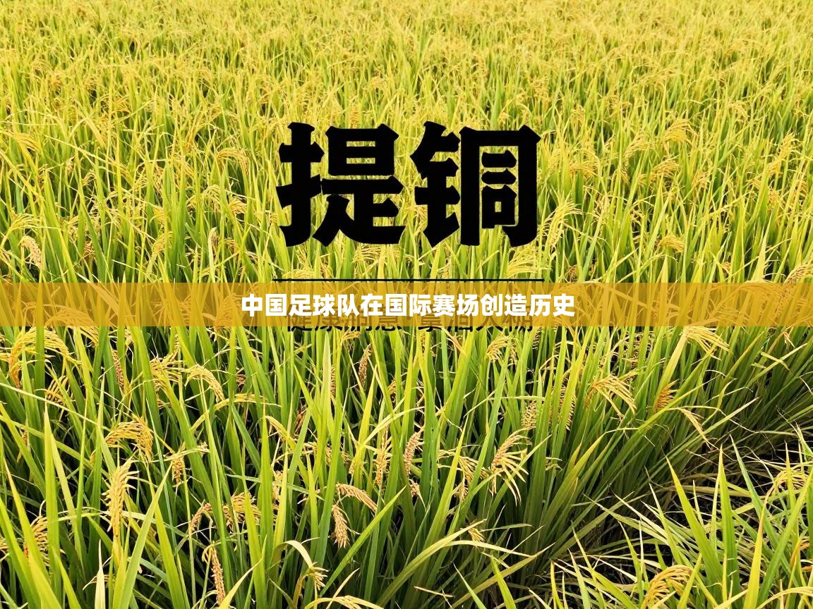 中国足球队在国际赛场创造历史  第2张