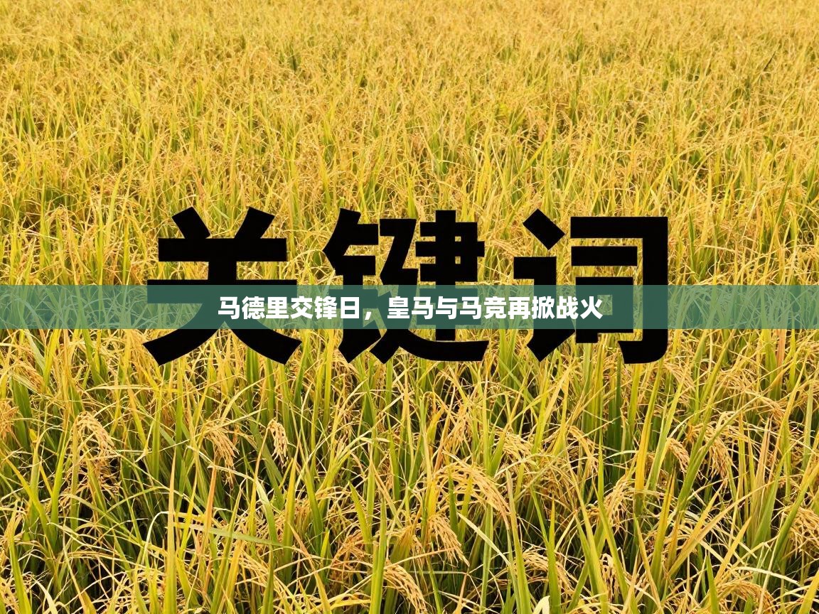 马德里交锋日,皇马与马竞再掀战火 第2张